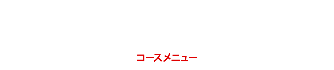 PARTY COURSE