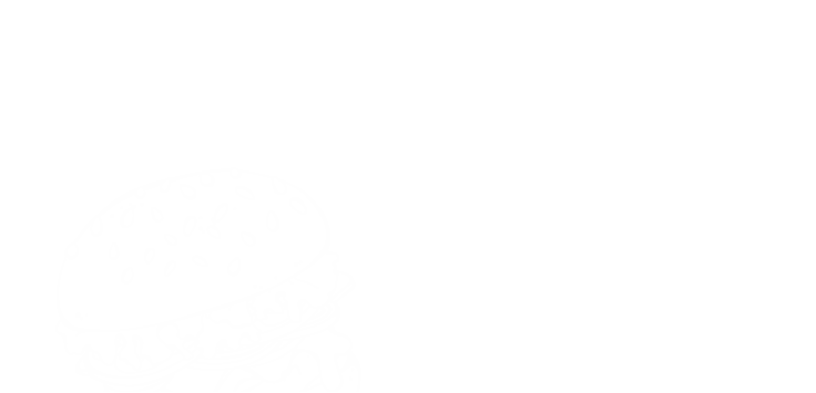 BURGER TOPPING